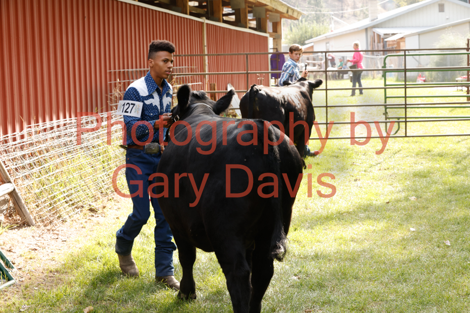 _MG_0090 (2)